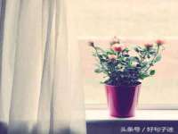 鹰潭市余江区抗正玉电子商务商行