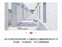 鹰潭市余江区抗正玉电子商务商行