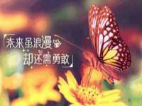 鹰潭市余江区抗正玉电子商务商行