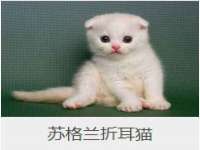 鹰潭市余江区抗正玉电子商务商行