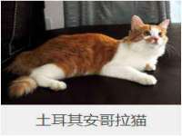 鹰潭市余江区抗正玉电子商务商行