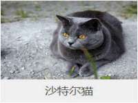 鹰潭市余江区抗正玉电子商务商行