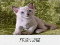 鹰潭市余江区抗正玉电子商务商行