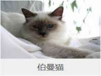 鹰潭市余江区抗正玉电子商务商行