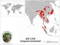 鹰潭市余江区抗正玉电子商务商行