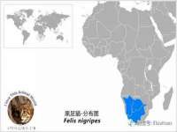鹰潭市余江区抗正玉电子商务商行