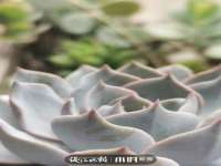 鹰潭市余江区抗正玉电子商务商行