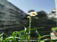 鹰潭市余江区抗正玉电子商务商行