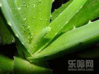 鹰潭市余江区抗正玉电子商务商行