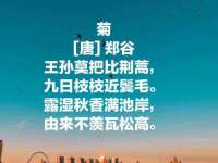 鹰潭市余江区抗正玉电子商务商行
