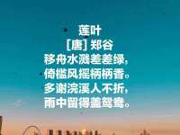 鹰潭市余江区抗正玉电子商务商行