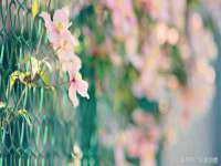 鹰潭市余江区抗正玉电子商务商行