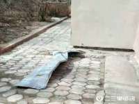 鹰潭市余江区抗正玉电子商务商行