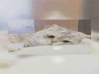 鹰潭市余江区抗正玉电子商务商行