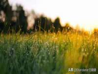 鹰潭市余江区抗正玉电子商务商行