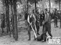 鹰潭市余江区抗正玉电子商务商行