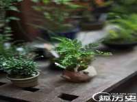 鹰潭市余江区抗正玉电子商务商行