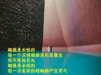 鹰潭市余江区抗正玉电子商务商行