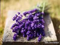 鹰潭市余江区抗正玉电子商务商行