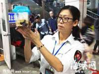 鹰潭市余江区抗正玉电子商务商行