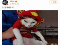 鹰潭市余江区抗正玉电子商务商行